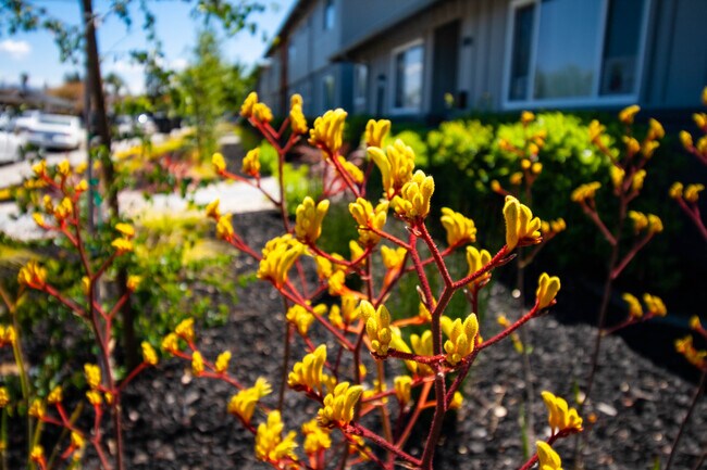 Foto del edificio - 2144 Royal Dr