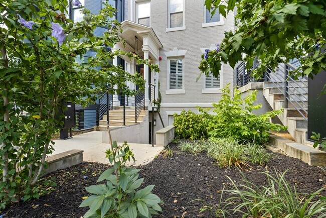 Building Photo - 1453 Girard St NW
