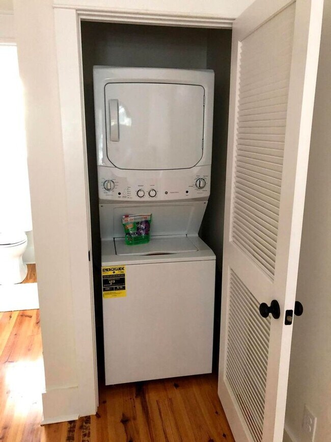 Building Photo - FULLY FURNISHED Mount Pleasant Apartment