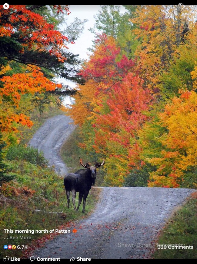 100 acres of wildlife - 398 Crummett Mountain Rd