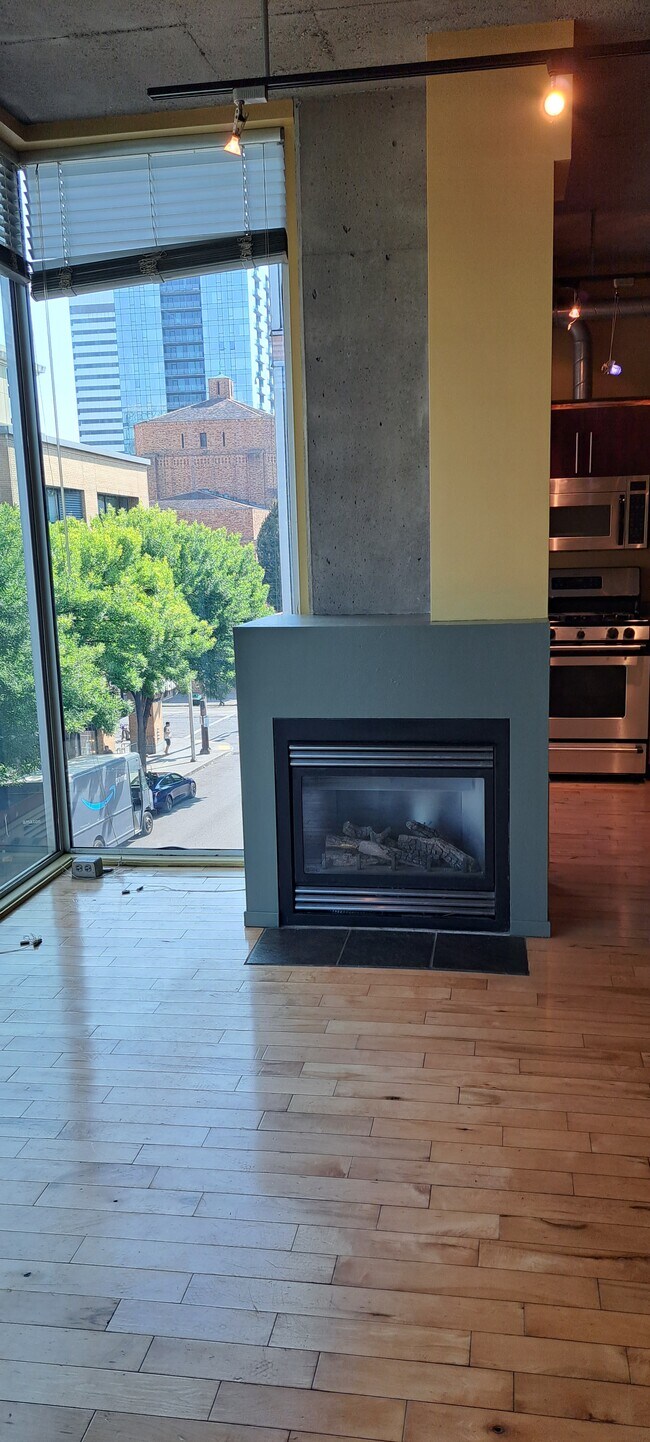 Gas Fireplave - 1410 SW 11th Ave