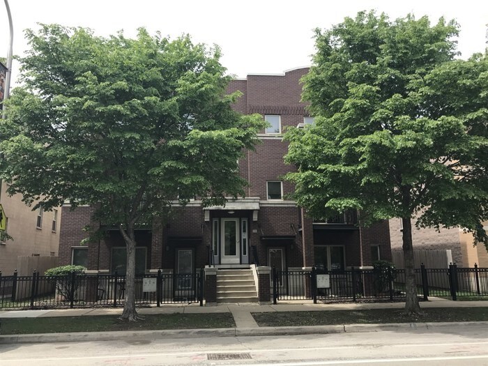 Primary Photo - 1226 S Blue Island Ave #301, Chicago IL