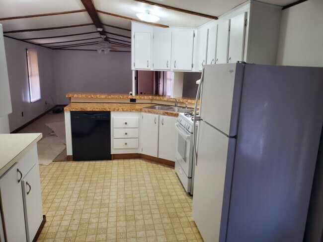 Kitchen/Dishwasher - 222 Spruce St