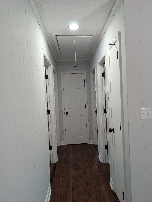 Building Photo - 823 Easter St