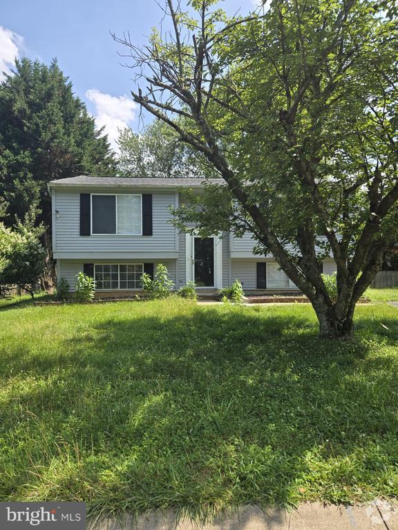 Building Photo - 1409 Rossiter Ct