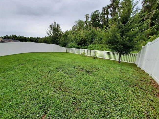 Rare Find In K Bar Ranch House For Rent In Tampa Fl Apartments Com Rare Find In K Bar Ranch House For Rent In Tampa Fl Apartments Com