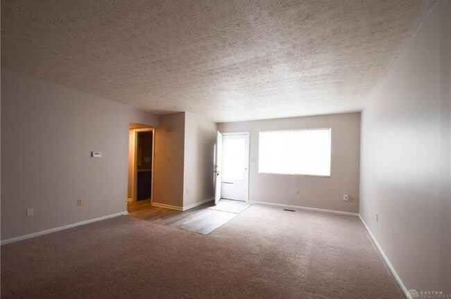 Abajo - 351 Chadwick Pl