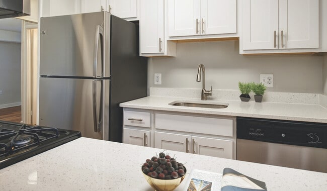 Renovated kitchens with premium finishes are available for upgrade. Ask the leasing team for more details. - Foxchase