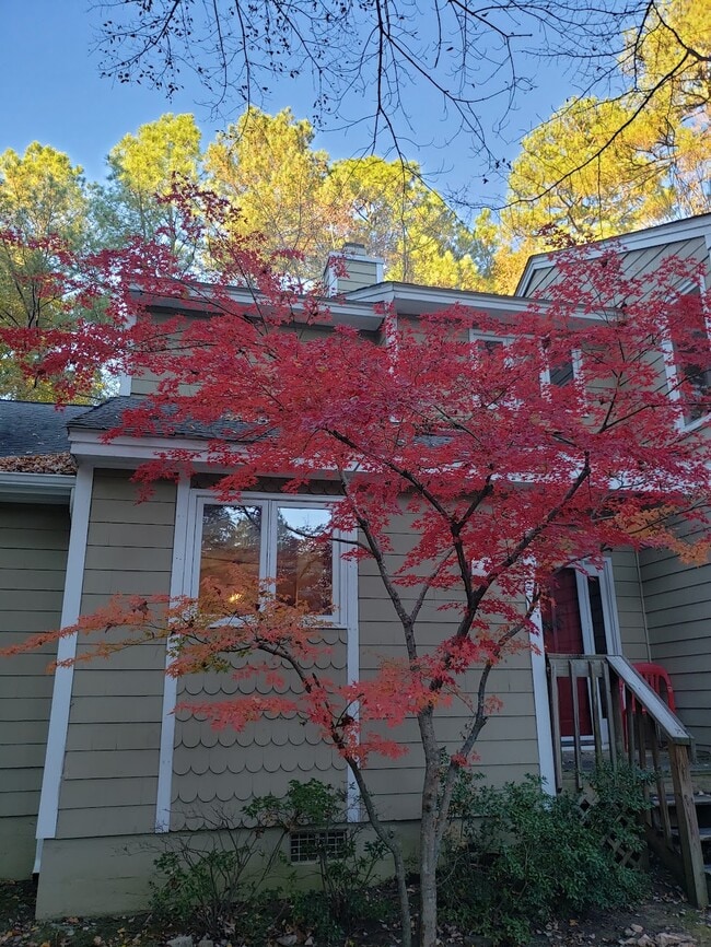 Building Photo - 4422 Beechnut Ln