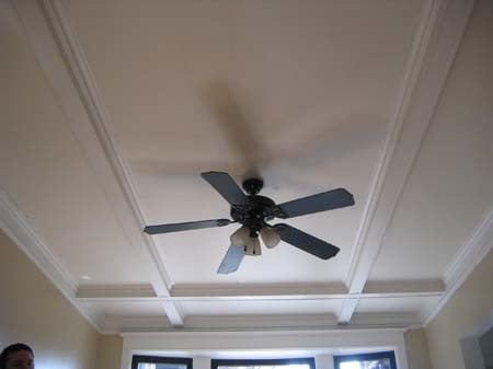Ceiling Fan in Living Room - 925 E 61st St