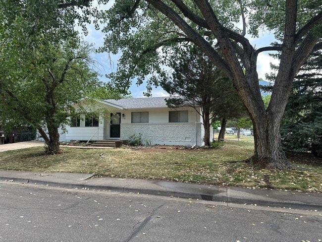 Building Photo - 1207 Scrub Oak Cir