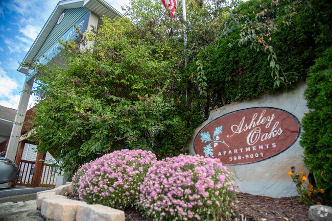 Ashely Oaks - Ashley Oaks