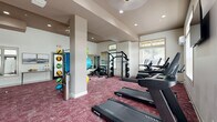 Located in Lewis Center, Ohio, this fitness center offers a comprehensively equipped exercise room designed to support a full range of workout routines. The space is finished with distinctive deep red patterned carpeting throughout, complemented by crisp white walls and a tray ceiling with recessed lighting that creates a bright, welcoming atmosphere. Multiple windows along the perimeter flood the room with natural light and provide views of the surrounding outdoor greenery, while a wall-mounted mini-split HVAC system ensures year-round comfort. The cardio zone is well-stocked with True-brand treadmills, ellipticals, a stair climber, and a stationary bike, each equipped with individual display screens. A wall-mounted flat-screen television adds an entertainment option for cardio sessions. The strength training area features a robust power rack with weight plates, a cable machine, a multi-function weight bench, and a full dumbbell rack, all reflected in large wall mirrors that enhance the sense of space. Functional fitness accessories, including stability balls and medicine balls on a vertical rack, round out the offerings. A frosted-glass interior window and door separate distinct zones within the room, while an exit door provides convenient access.