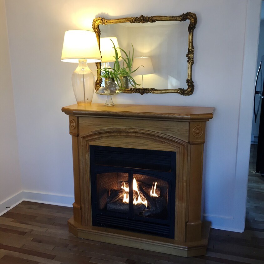 Propane Fireplace in Living Room - 244 NY-344