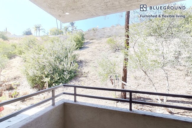 Building Photo - 10024 Paseo Montril