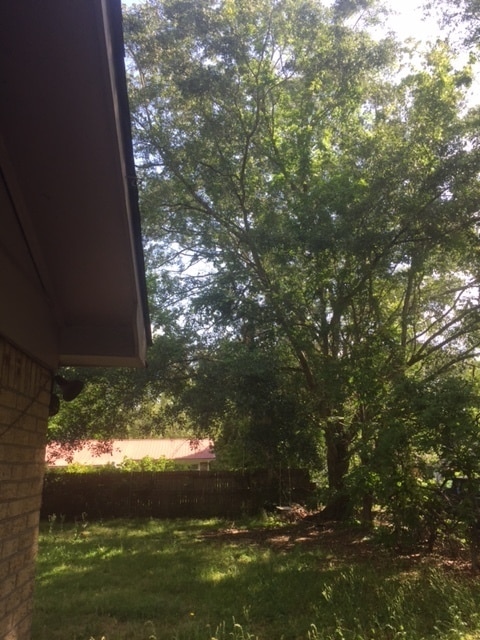 Building Photo - 4442 Donwood Dr