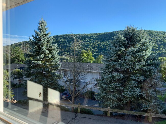 View From Living Room - 53 Abington Gardens Dr