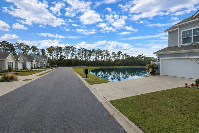 Mildred Court - 905 Mildred Ct