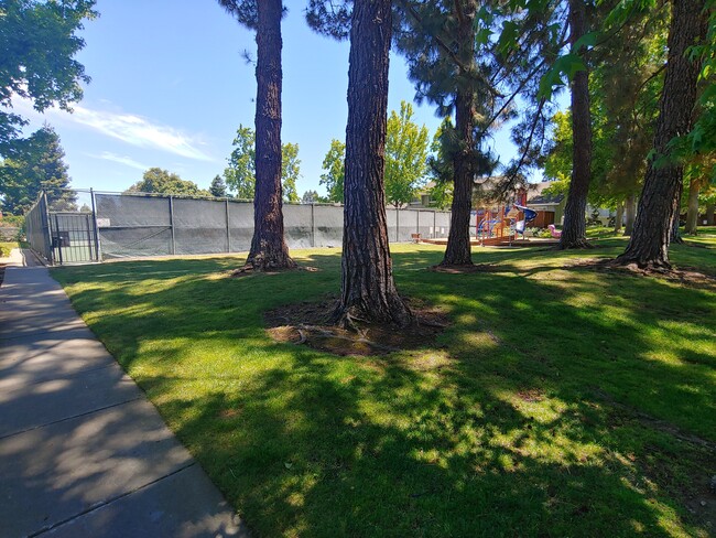 Building Photo - 20216 Northbrook Sq