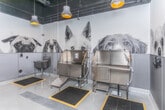 Located at 400 N Main St in Royal Oak, Michigan, this single-floor commercial pet grooming facility is designed with both functionality and personality in mind. The space is immediately defined by its bold, oversized black-and-white photographic murals of various dog breeds—from Labrador Retrievers and Pugs to Chihuahuas and Border Collies—that wrap continuously around the upper walls, creating a visually engaging and welcoming atmosphere for pet owners and their dogs alike.

The grooming area is equipped with multiple professional-grade stainless steel bathing tubs, each fitted with ramps for easy pet access, retractable tethers, and individual spray attachments. Anti-fatigue rubber mats with yellow safety borders are positioned at each station, prioritizing both comfort and safety for groomers. Floor-level drainage grates run along the length of the room, ensuring efficient water management during bathing sessions.

The walls feature gray wainscoting panels below the murals, providing a durable, moisture-resistant surface suited to the demands of a grooming environment. A dedicated utility sink offers additional washing and rinsing capabilities. Pendant lighting with warm-toned bulbs hangs from a matte black ceiling, providing focused illumination across the workspace. Large glass-panel doors connect the grooming area to adjacent rooms, maintaining an open, transparent flow throughout the facility.