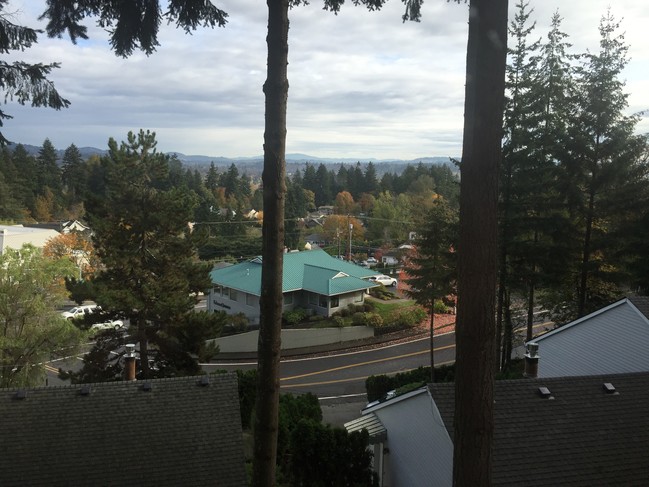 Typical View - Caufield Park Apartments