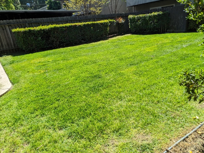 Building Photo - 1044 Rivara Rd