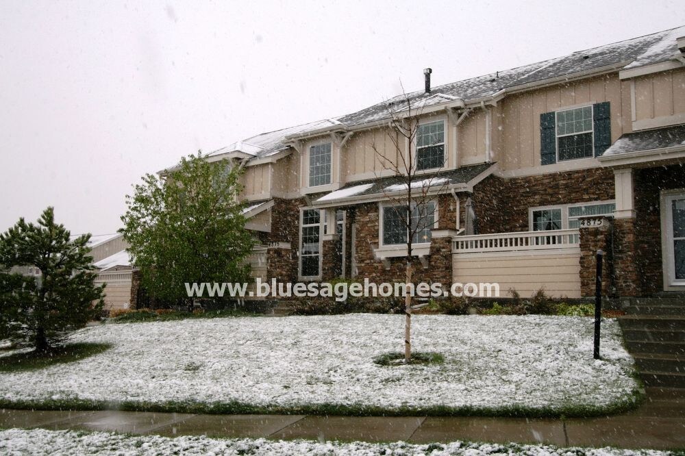 Primary Photo - Beautiful Townhome in Wildgrass
