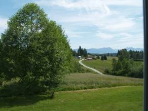 View of Acreage and Cascades - 11314 227th Ave SE