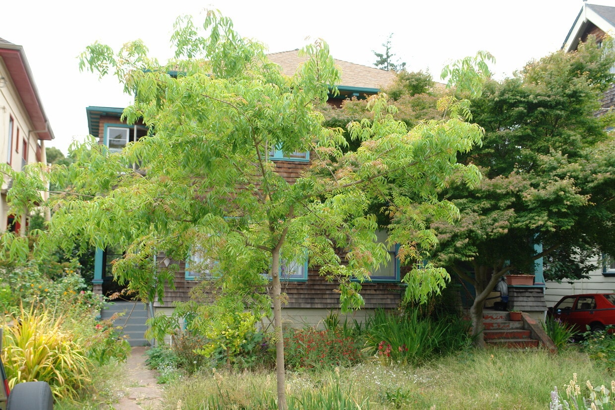 Primary Photo - 2906-2908 Regent St