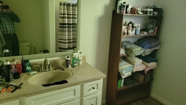 Foto del edificio - 43 Delsie Martin Rd