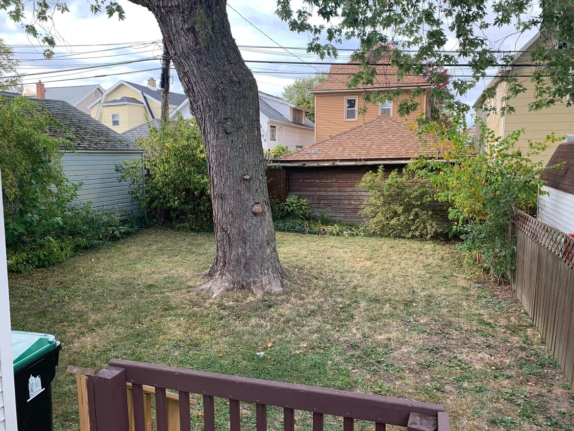Backyard - 1337 Kenmore Ave