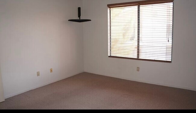 Foto del edificio - 1575 W Warm Springs Rd