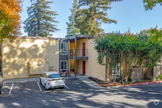 Redwood Tree Apartments photo'