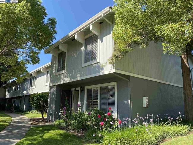 Building Photo - 3191 Washoe Way