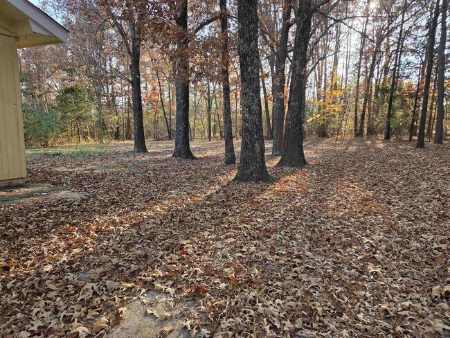 Foto del edificio - 156 Pottawattamie Dr