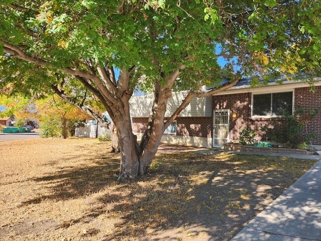 Building Photo - 3610 Indian Pipe Cir