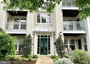 Building Photo - 7501 Calderon Ct
