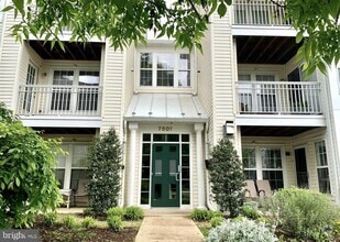 Building Photo - 7501 Calderon Ct