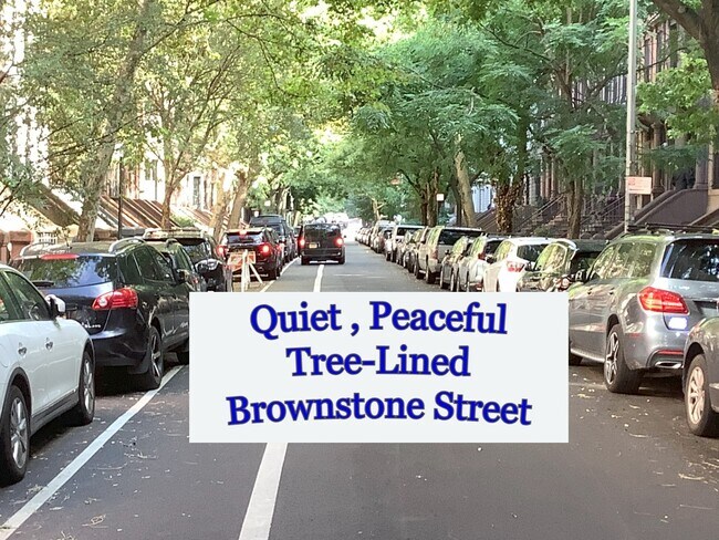 Calle tranquila bordeada de árboles - 149 W 120th St