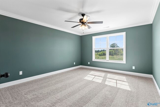 Building Photo - 247 Susan Lynn Dr