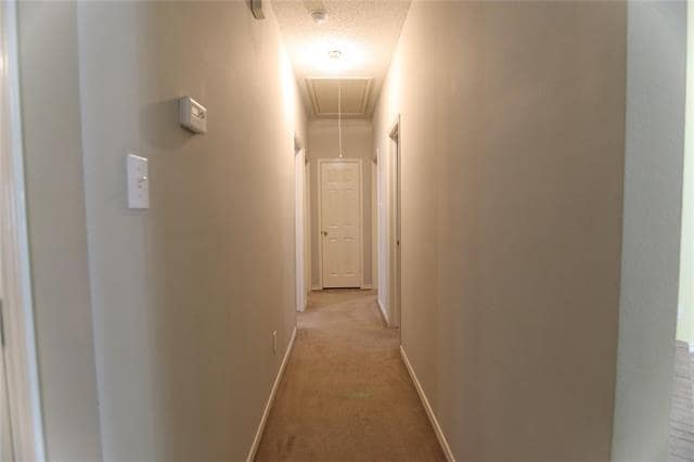Building Photo - 1507 Warm Springs Dr