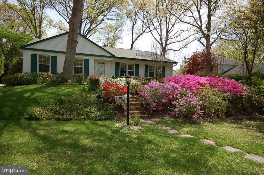 Primary Photo - 11903 Henry Fleet Dr