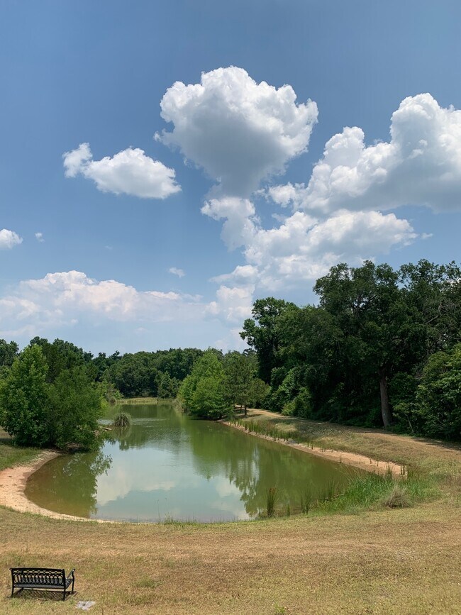Foto del edificio - 3/2 IN HAMPTON CREEK SUBDIVISION- AVAILABLE SEPTEMBER 1, 2026