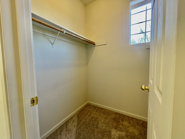 Walk-In closet - 450 Saunders Dr
