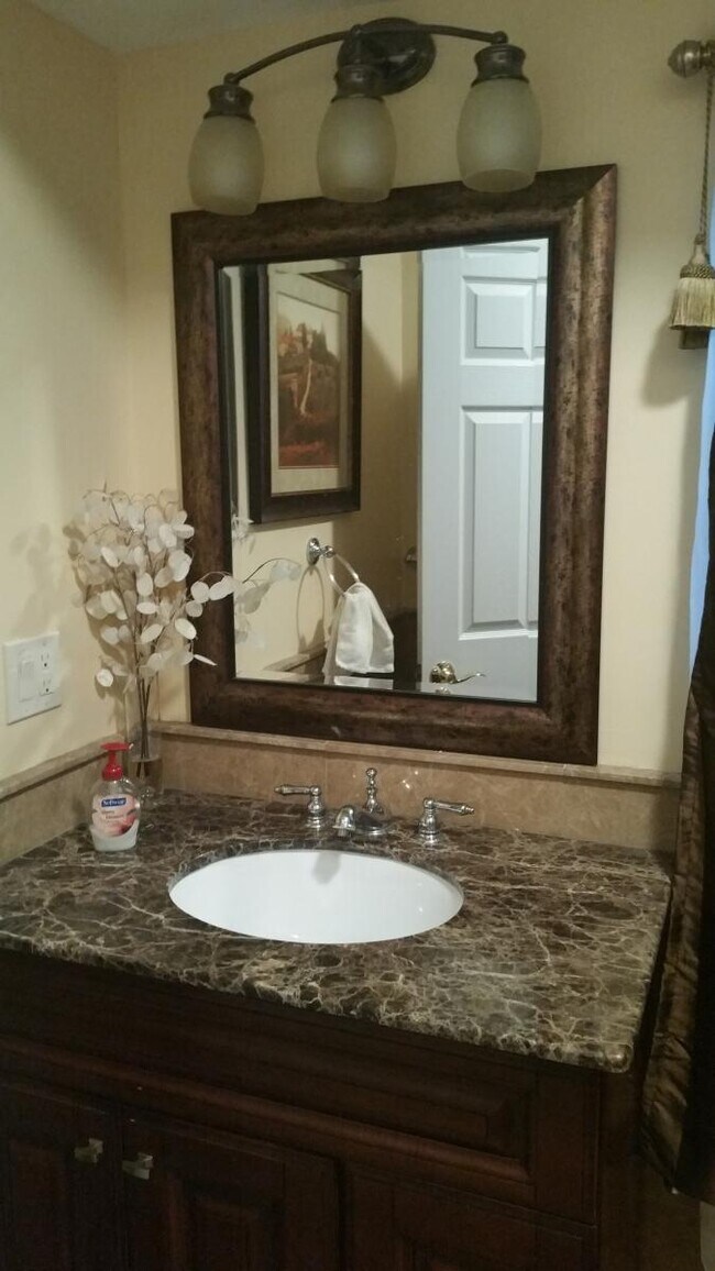 bathroom - 733 Chestnut St