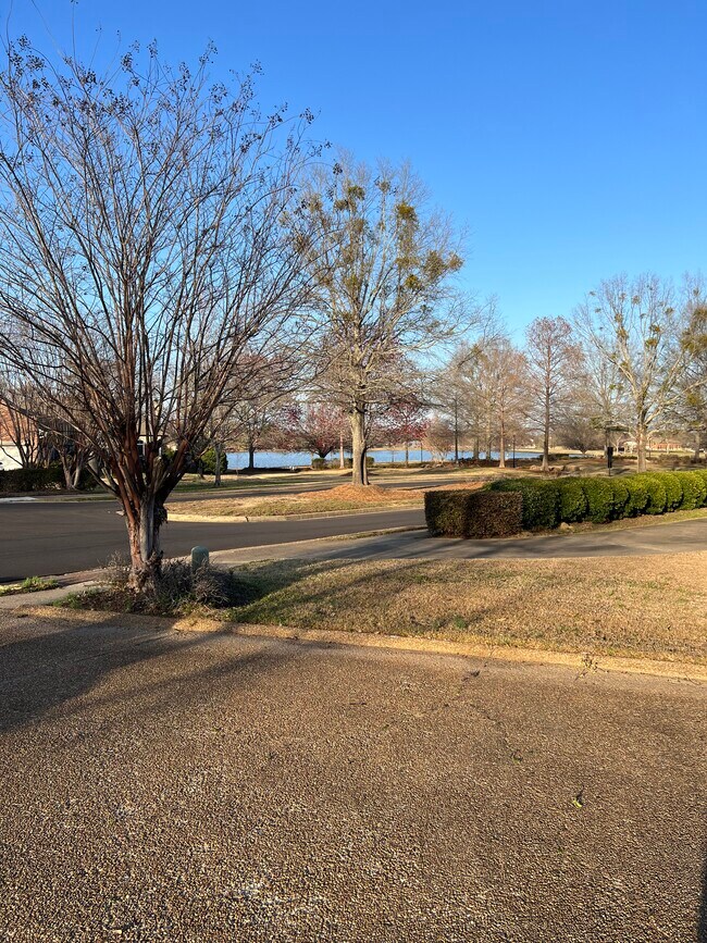 Building Photo - 207 Lake Cir