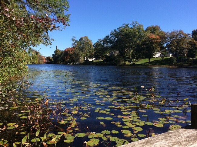 River view - 26 Mapledale St