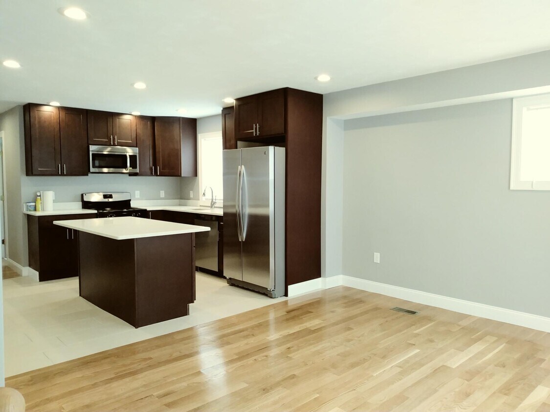 10 Rockledge St Unit 1, Boston, MA 02119 Condo for Rent in Boston, MA