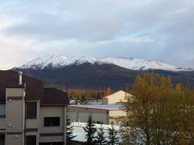 Balcony View - 11720 Business Blvd