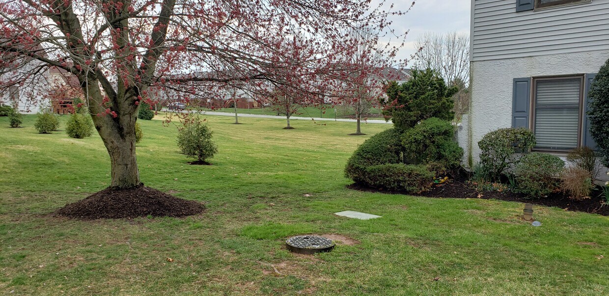 129 William Penn Dr Unit 129, Norristown, PA 19403 Condo for Rent in